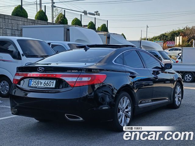 Hyundai Grandeur (HG) LPG HG300 Executive 2012 — фото 6