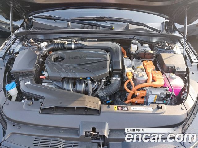 Kia K5 Hybrid (III) Noblesse 2022 — фото 6