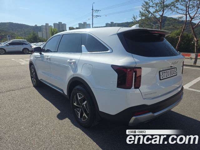 Kia Sorento (IV) HEV 1.6 2WD Prestige 2024 — фото 3