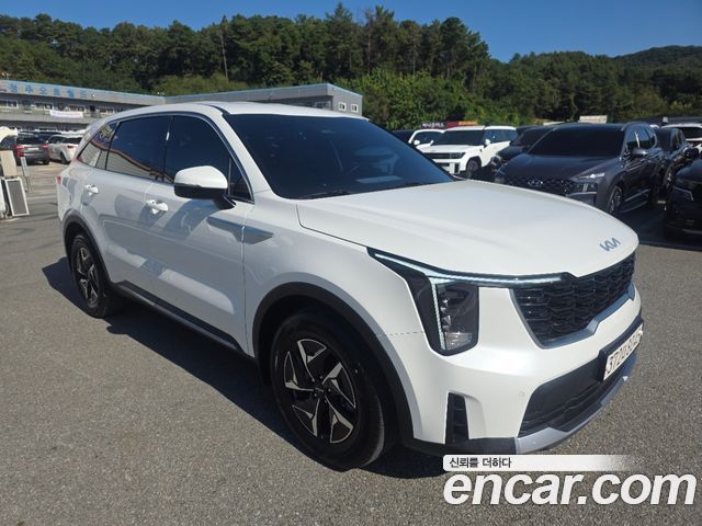 Kia Sorento (IV) HEV 1.6 2WD Prestige 2024 — фото 4