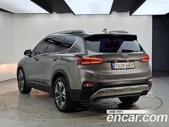 Hyundai Santa Fe (TM) Diesel 2.0 2WD Premium 2019 — фото 4