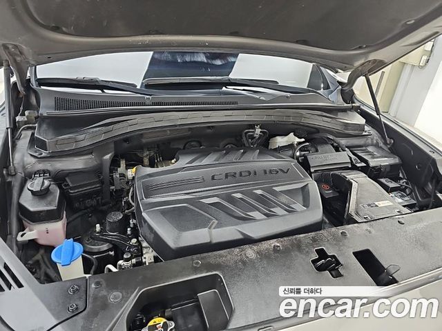 Hyundai Santa Fe (TM) Diesel 2.0 2WD Premium 2019 — фото 6