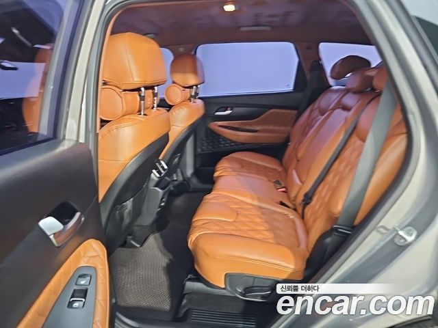 Hyundai Santa Fe (TM) Diesel 2.0 2WD Premium 2019 — фото 16