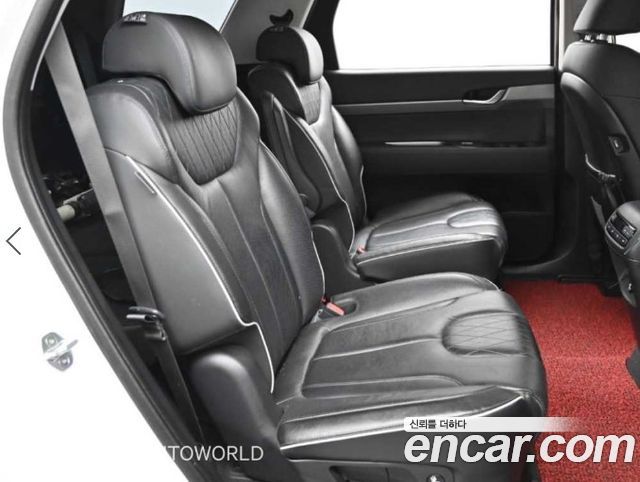 Hyundai Palisade Gasoline 3.8 2WD Exclusive 2019 — фото 16