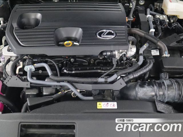 Lexus RX500h (V) F-Sport 2025 — фото 21