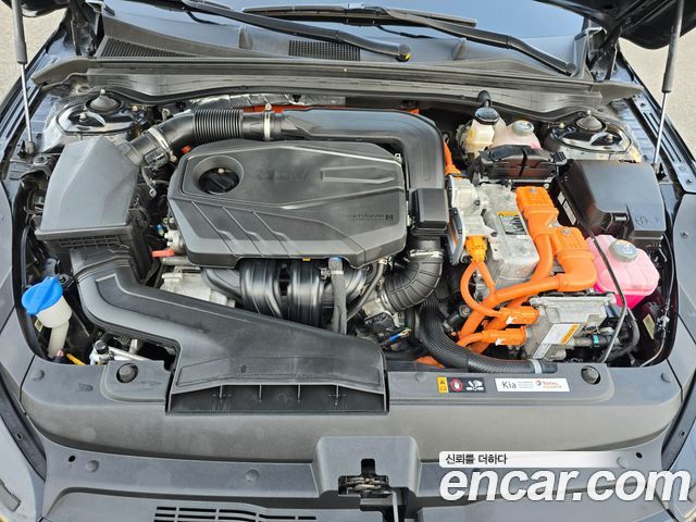 Kia K5 Hybrid (III) Noblesse 2022 — фото 6