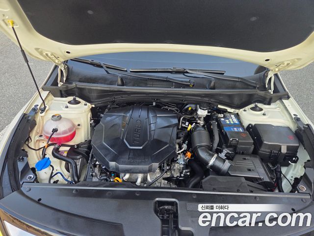 Kia Sportage (V) Diesel 2.0 2WD Prestige 2022 — фото 6
