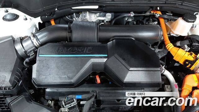 Hyundai Santa Fe (MX5) HEV 1.6 4WD Calligraphy 2024 — фото 6