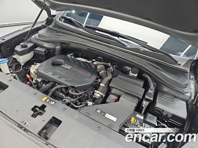 Hyundai Santa Fe (TM) Gasoline 2.0T 2WD Exclusive Special 2019 — фото 5