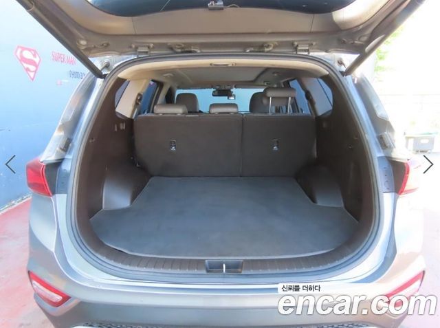 Hyundai Santa Fe (TM) Diesel 2.0 2WD Exclusive Special 2019 — фото 6