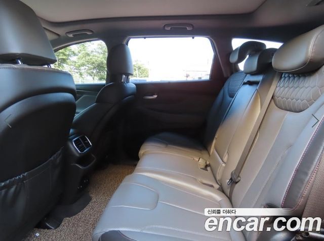 Hyundai Santa Fe (TM) Diesel 2.0 2WD Exclusive Special 2019 — фото 8