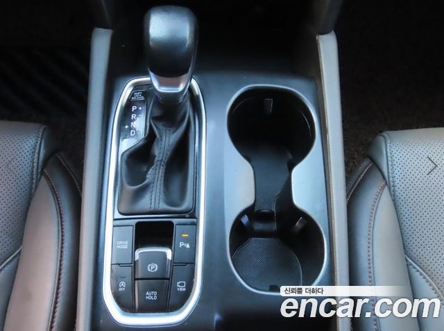Hyundai Santa Fe (TM) Diesel 2.0 2WD Exclusive Special 2019 — фото 17