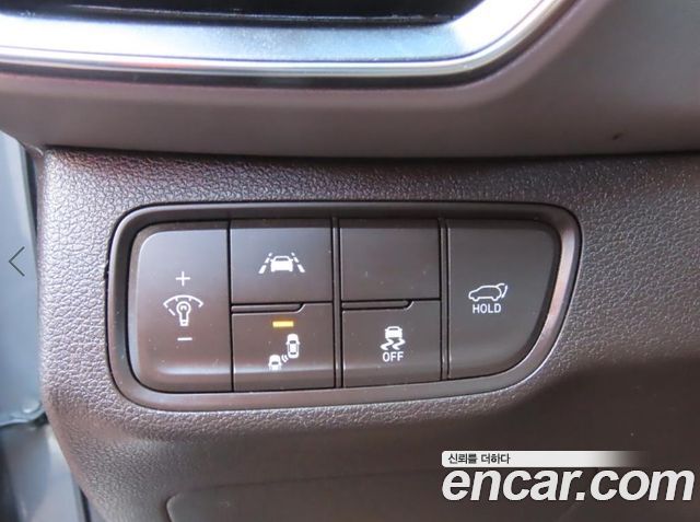 Hyundai Santa Fe (TM) Diesel 2.0 2WD Exclusive Special 2019 — фото 19