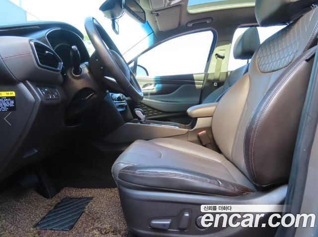 Hyundai Santa Fe (TM) Diesel 2.0 2WD Exclusive Special 2019 — фото 20