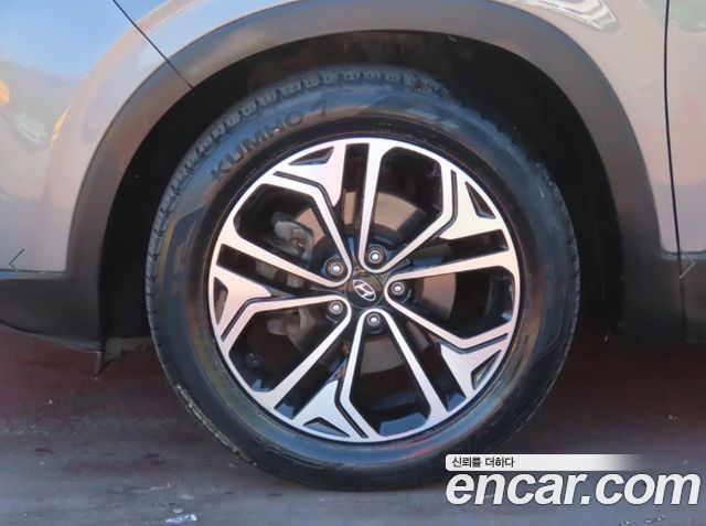 Hyundai Santa Fe (TM) Diesel 2.0 2WD Exclusive Special 2019 — фото 24