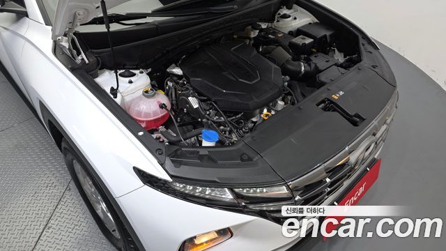 Hyundai Tucson (NX4) Diesel 2.0 2WD Modern 2023 — фото 6