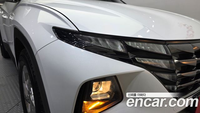 Hyundai Tucson (NX4) Diesel 2.0 2WD Modern 2023 — фото 22