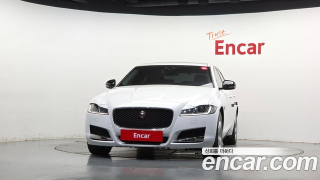 Jaguar XF (X260) 20d Prestige AWD 2017 — фото 3