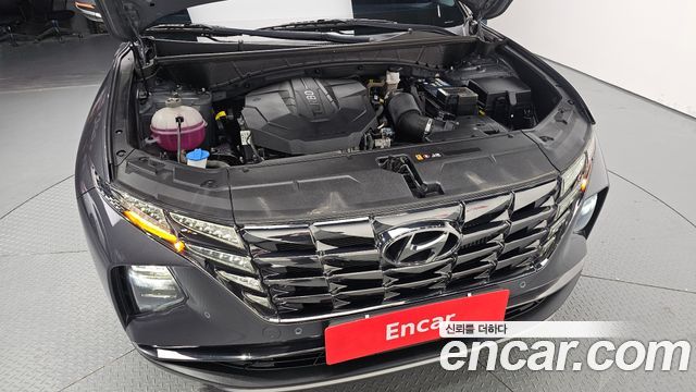 Hyundai Tucson (NX4) Diesel 2.0 4WD Inspiration 2022 — фото 6