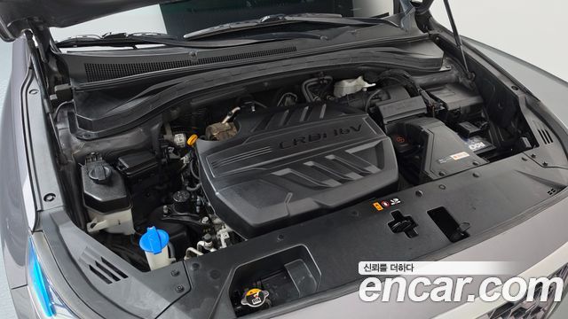 Hyundai Santa Fe (TM) Diesel 2.0 2WD Prestige 2019 — фото 6