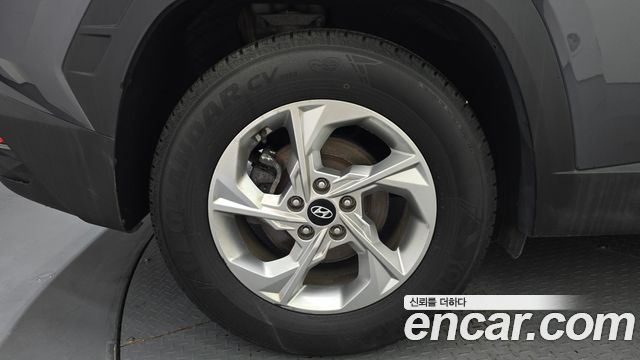 Hyundai Tucson (NX4) Diesel 2.0 2WD Modern 2023 — фото 5
