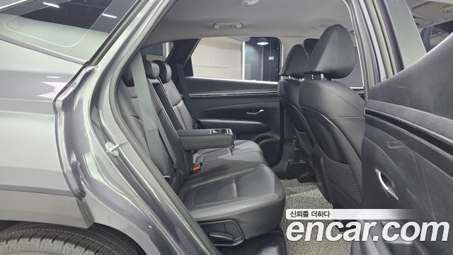 Hyundai Tucson (NX4) Diesel 2.0 2WD Modern 2023 — фото 12