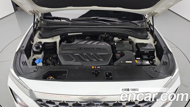 Hyundai Santa Fe (TM) Diesel 2.2 4WD Inspiration 2019 — фото 6