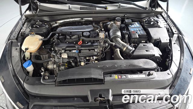 Kia K5 (III) 1.6 Turbo Noblesse 2023 — фото 6