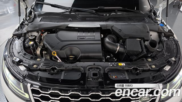 Land Rover Range Rover Evoque (II) P250 SE 2023 — фото 6
