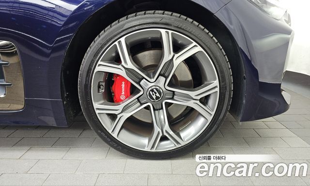 Kia Stinger 2.0 Turbo AWD Platinum 2019 — фото 21