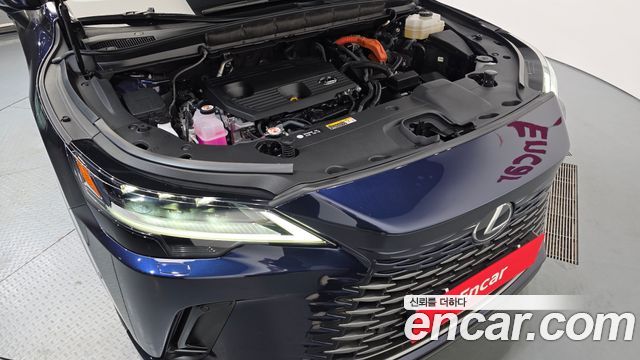 Lexus RX350h (V) Luxury 2023 — фото 6