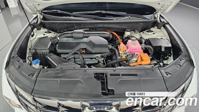 Hyundai Tucson Hybrid (NX4) Modern 2WD 2023 — фото 6