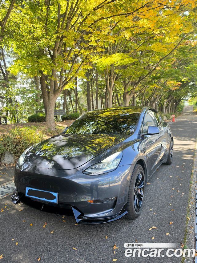 Tesla Model Y Standard Range RWD 2021 — фото 2