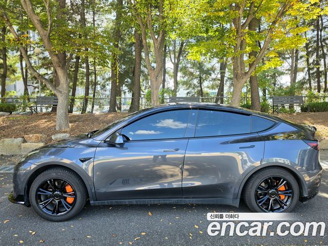 Tesla Model Y Standard Range RWD 2021 — фото 6