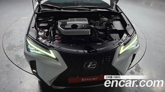 Lexus UX250h 2.0 F-Sport 2WD 2020 — фото 6