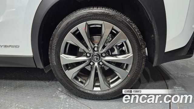 Lexus UX250h 2.0 F-Sport 2WD 2020 — фото 21