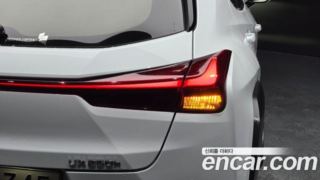 Lexus UX250h 2.0 F-Sport 2WD 2020 — фото 23
