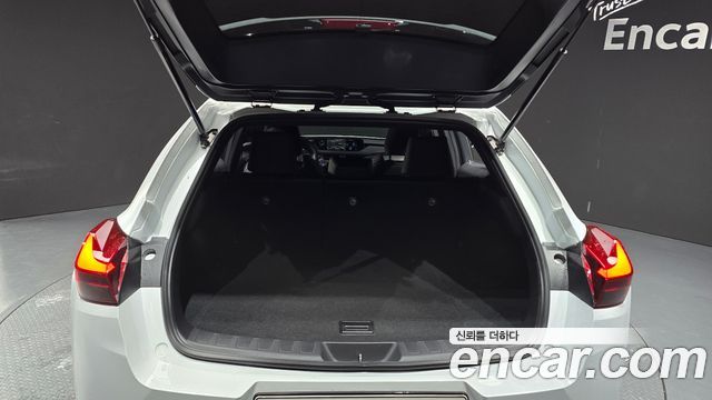 Lexus UX250h 2.0 F-Sport 2WD 2020 — фото 30