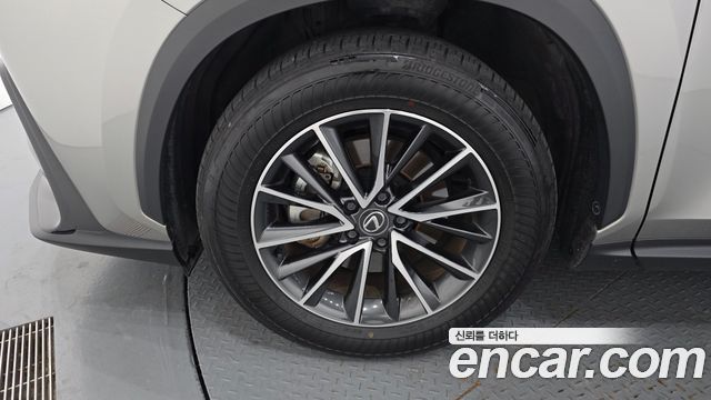 Lexus NX450h+ (II) Premium 2024 — фото 5