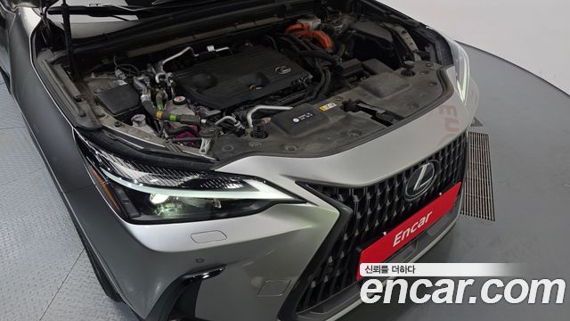 Lexus NX450h+ (II) Premium 2024 — фото 6