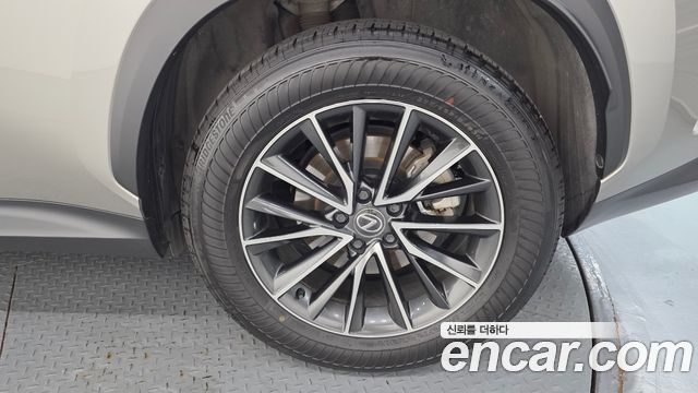Lexus NX450h+ (II) Premium 2024 — фото 21