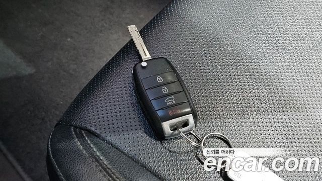 Kia Carens 2.0 LPI Luxury 2017 — фото 19