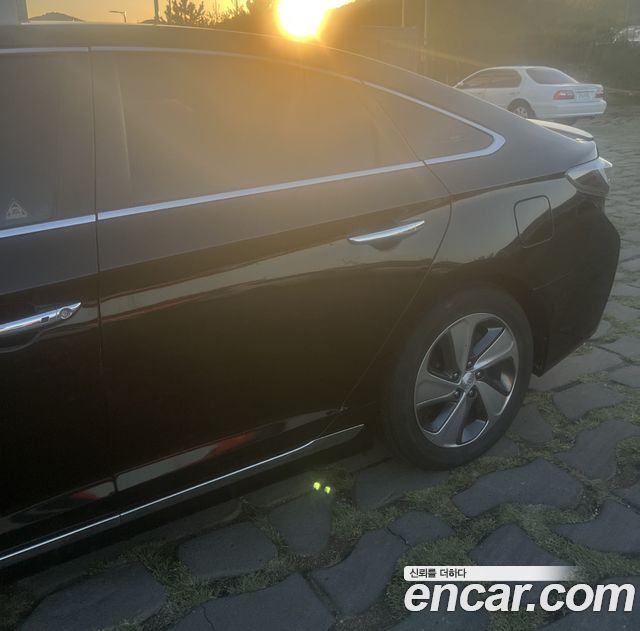 Hyundai Sonata Hybrid (LF) 2.0 HEV Modern 2016 — фото 3