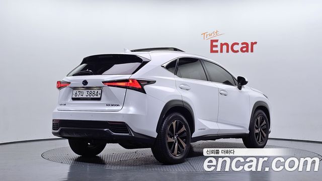 Lexus NX300h Executive 2019 — фото 2