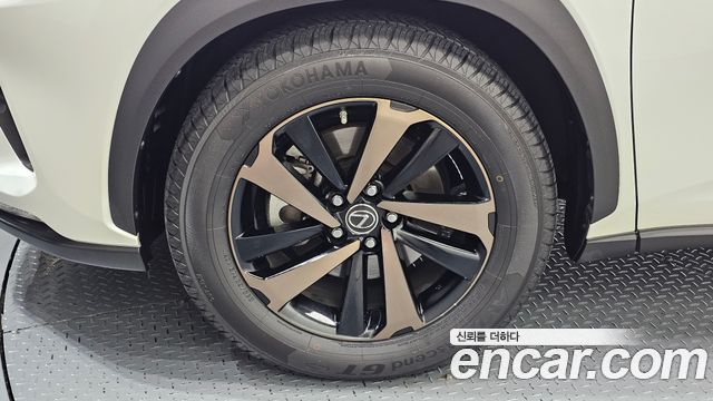 Lexus NX300h Executive 2019 — фото 5