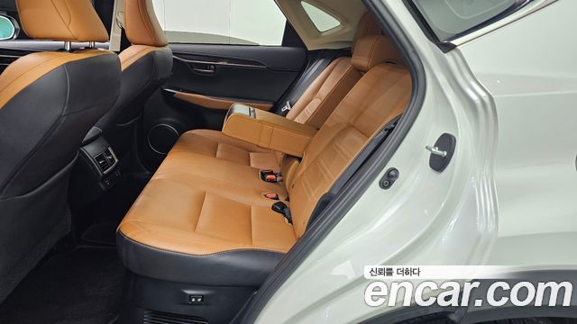 Lexus NX300h Executive 2019 — фото 16