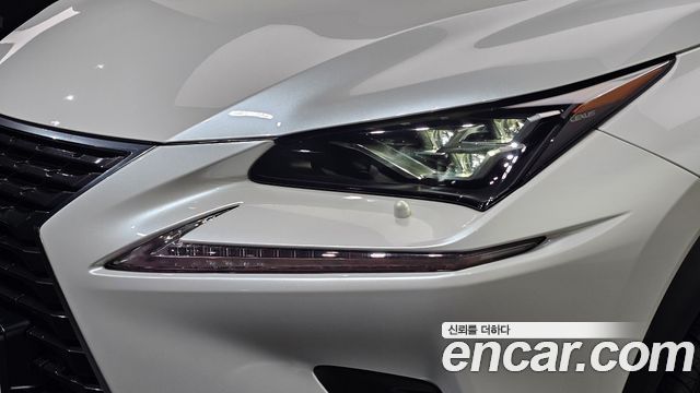 Lexus NX300h Executive 2019 — фото 28
