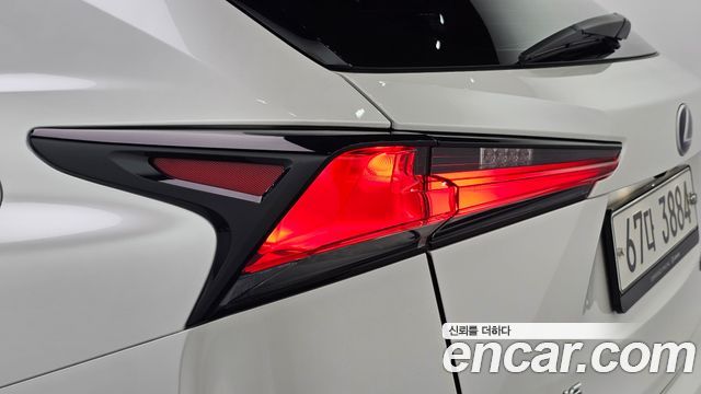 Lexus NX300h Executive 2019 — фото 29