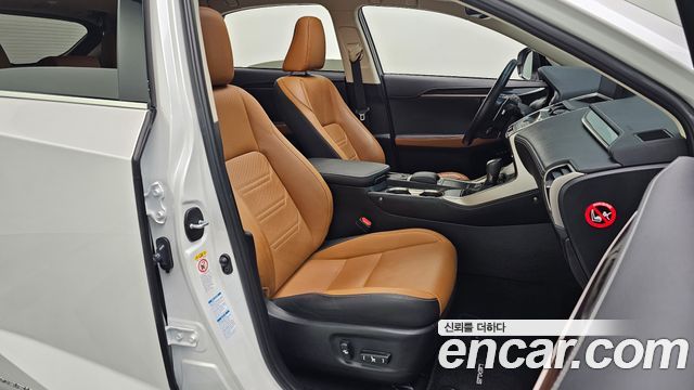 Lexus NX300h Executive 2019 — фото 32