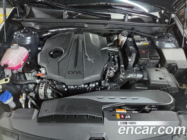 Hyundai Sonata (DN8) 2.0 Premium Plus 2022 — фото 6